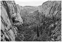 Betatakin Canyon. Navajo National Monument, Arizona, USA ( black and white)