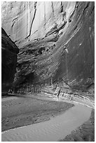 Paria river bend in Paria Canyon. Vermilion Cliffs National Monument, Arizona, USA ( black and white)