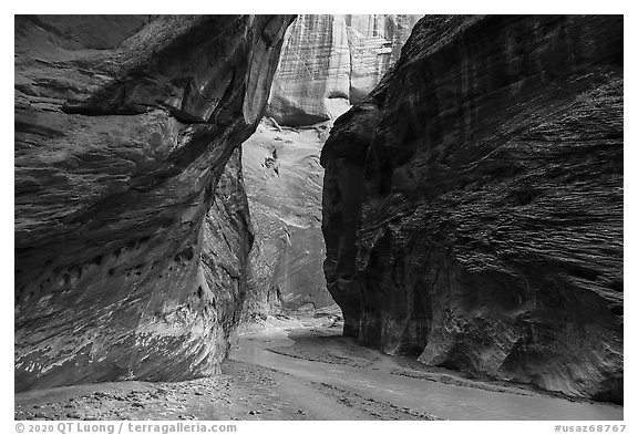 Narrows of Paria River Canyon. Vermilion Cliffs National Monument, Arizona, USA (black and white)