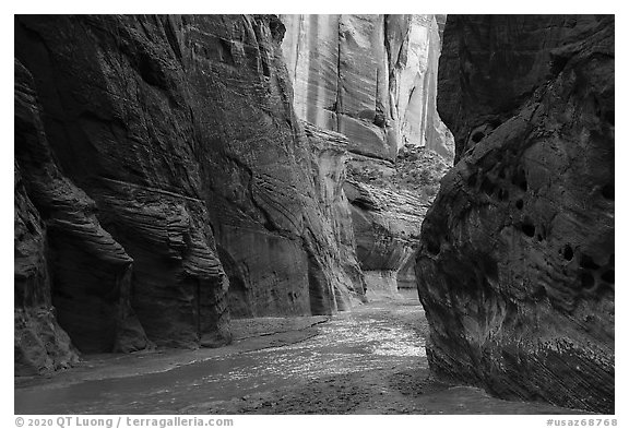 Paria River flowing in Paria Canyon. Vermilion Cliffs National Monument, Arizona, USA (black and white)