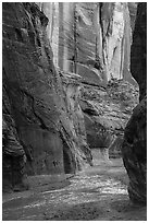 Paria River flowing between tall canyon walls. Vermilion Cliffs National Monument, Arizona, USA ( black and white)