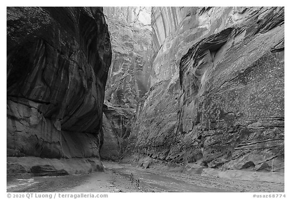 Paria Canyon narrows. Vermilion Cliffs National Monument, Arizona, USA (black and white)