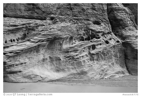 Wall with holes, Paria Canyon. Vermilion Cliffs National Monument, Arizona, USA (black and white)