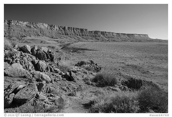 Vermilion Cliffs stretching into the distance. Vermilion Cliffs National Monument, Arizona, USA (black and white)