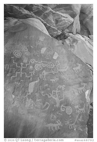 Rock with petroglyps. Vermilion Cliffs National Monument, Arizona, USA