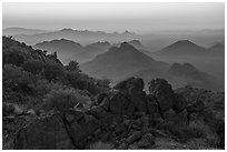 Pan Quemado peaks from Waterman Mountains at dawn. Ironwood Forest National Monument, Arizona, USA ( black and white)
