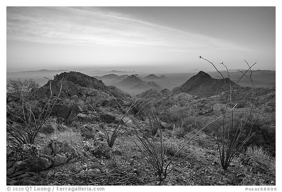 Ocotillo and desert peaks from Waterman Mountains at sunrise. Ironwood Forest National Monument, Arizona, USA