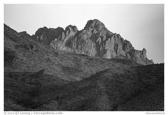 Ragged Top at sunrise. Ironwood Forest National Monument, Arizona, USA (black and white)