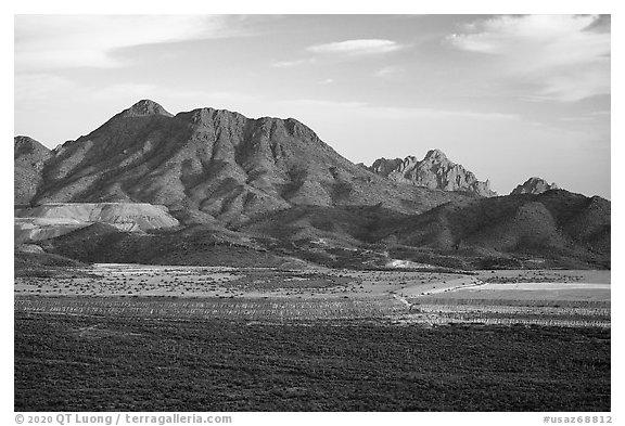 Silver Bell Mine, Silver Bell Peak and Ragged Top. Ironwood Forest National Monument, Arizona, USA (black and white)