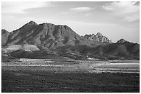 Silver Bell Mine, Silver Bell Peak and Ragged Top. Ironwood Forest National Monument, Arizona, USA ( black and white)