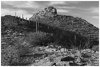 Waterman Peak. Ironwood Forest National Monument, Arizona, USA ( black and white)
