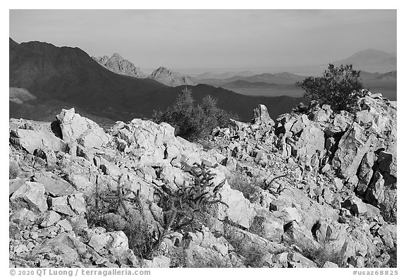 Ragged Top, and Wolcott Peak from Waterman Peak. Ironwood Forest National Monument, Arizona, USA (black and white)