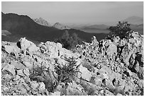 Ragged Top, and Wolcott Peak from Waterman Peak. Ironwood Forest National Monument, Arizona, USA ( black and white)