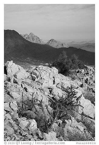 Ragged Top, and Wolcott Peak from Waterman Mountains. Ironwood Forest National Monument, Arizona, USA