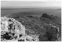 Cactus and plains from Waterman Peak summit. Ironwood Forest National Monument, Arizona, USA ( black and white)