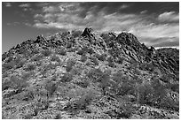 Waterman Mountains. Ironwood Forest National Monument, Arizona, USA ( black and white)