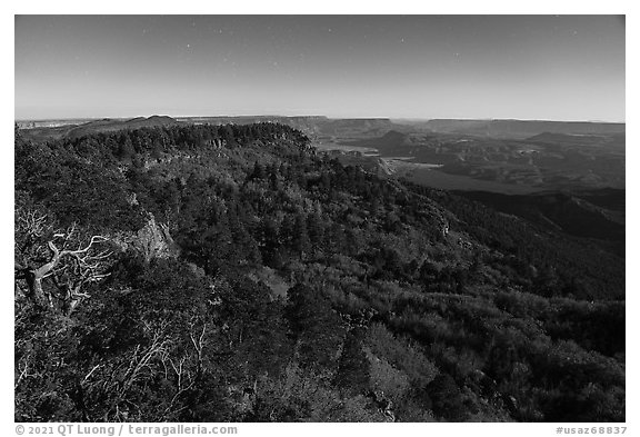 View from Mt Logan under moonlight. Grand Canyon-Parashant National Monument, Arizona, USA (black and white)