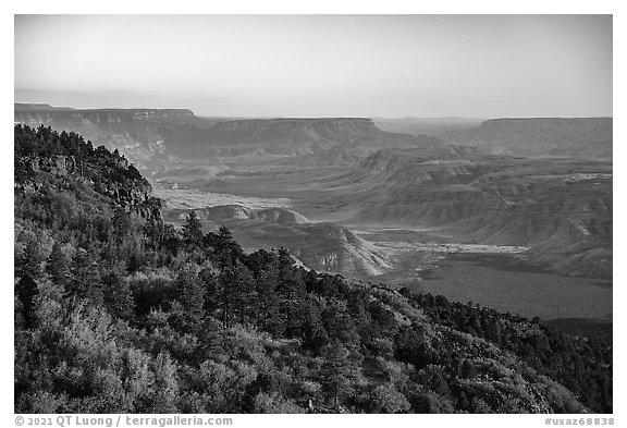 Grand Canyon from Mt Logan. Grand Canyon-Parashant National Monument, Arizona, USA