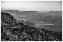 Grand Canyon from Mt Logan. Grand Canyon-Parashant National Monument, Arizona, USA ( black and white)