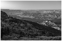 Grand Canyon from Mt Logan, dawn. Grand Canyon-Parashant National Monument, Arizona, USA ( black and white)