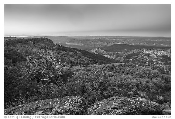 View from Mt Logan at dawn. Grand Canyon-Parashant National Monument, Arizona, USA (black and white)