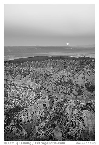 Hells Hole with full moon setting. Grand Canyon-Parashant National Monument, Arizona, USA (black and white)
