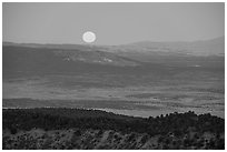 Full moon setting over Kinney Flat. Grand Canyon-Parashant National Monument, Arizona, USA ( black and white)
