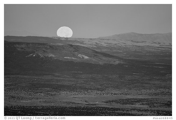 Moonset over Kinney Flat. Grand Canyon-Parashant National Monument, Arizona, USA (black and white)