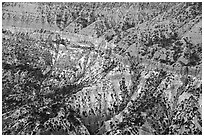 Hells Hole amphitheater detail. Grand Canyon-Parashant National Monument, Arizona, USA ( black and white)