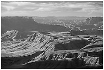 Whitmore Canyon from Mount Logan. Grand Canyon-Parashant National Monument, Arizona, USA ( black and white)
