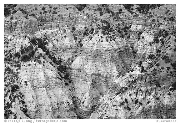 Erosion formations in Hells Hole. Grand Canyon-Parashant National Monument, Arizona, USA (black and white)