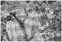 Erosion formations in Hells Hole. Grand Canyon-Parashant National Monument, Arizona, USA ( black and white)