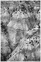 Colorful eroded rock in Hells Hole. Grand Canyon-Parashant National Monument, Arizona, USA ( black and white)