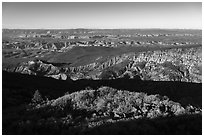 Hells Hole and Cold Spring Point. Grand Canyon-Parashant National Monument, Arizona, USA ( black and white)