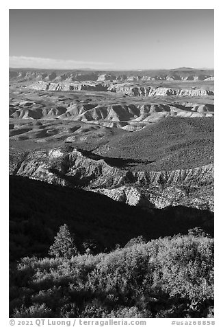 Mount Logan Wilderness with Mount Dellenbaugh in the distance. Grand Canyon-Parashant National Monument, Arizona, USA (black and white)