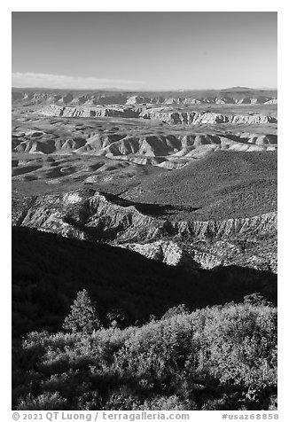 Mount Logan Wilderness with Mount Dellenbaugh in the distance. Grand Canyon-Parashant National Monument, Arizona, USA