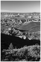 Mount Logan Wilderness with Mount Dellenbaugh in the distance. Grand Canyon-Parashant National Monument, Arizona, USA ( black and white)