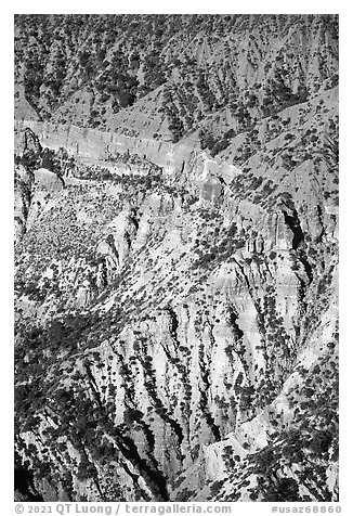 Pinnacles in Hells Hole. Grand Canyon-Parashant National Monument, Arizona, USA (black and white)