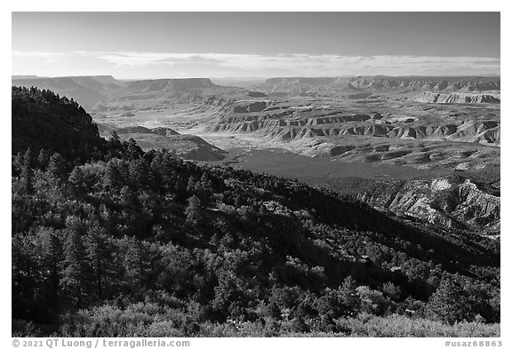 Mount Logan Wilderness and Grand Canyon. Grand Canyon-Parashant National Monument, Arizona, USA (black and white)