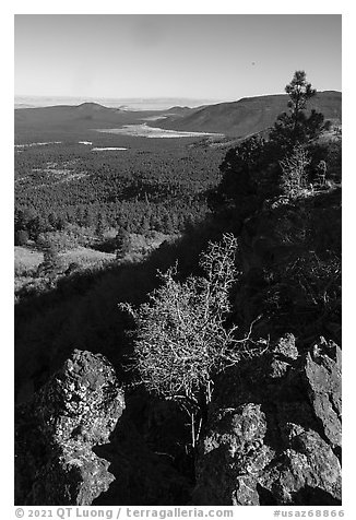 Potato Valley from Mt Logan. Grand Canyon-Parashant National Monument, Arizona, USA (black and white)