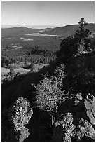 Potato Valley from Mt Logan. Grand Canyon-Parashant National Monument, Arizona, USA ( black and white)