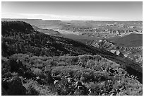 Mt Logan slopes, Grand Canyon, and Whitmore Canyon. Grand Canyon-Parashant National Monument, Arizona, USA ( black and white)