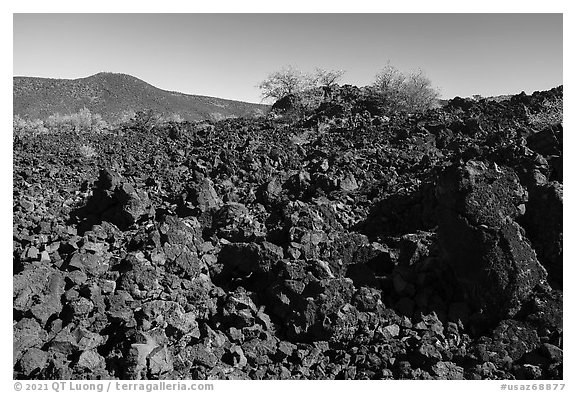 Lava flow near Mt Logan. Grand Canyon-Parashant National Monument, Arizona, USA (black and white)