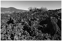 Lava flow near Mt Logan. Grand Canyon-Parashant National Monument, Arizona, USA ( black and white)