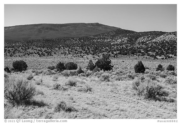 Torroweap Valley and Mount Trumbull. Grand Canyon-Parashant National Monument, Arizona, USA (black and white)