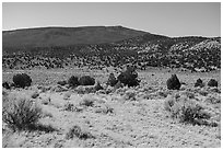 Torroweap Valley and Mount Trumbull. Grand Canyon-Parashant National Monument, Arizona, USA ( black and white)