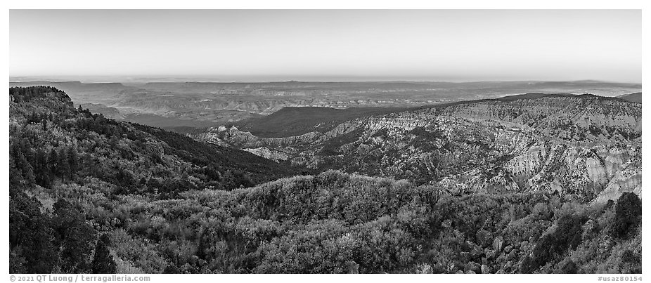 Grand Canyon and Hells Hole from Mount Logan at sunrise. Grand Canyon-Parashant National Monument, Arizona, USA (black and white)