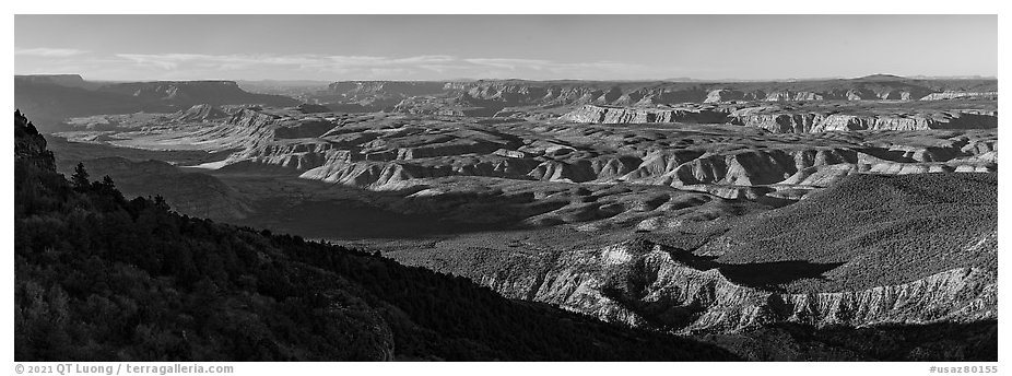 Grand Canyon and Whitmore Canyon from Mount Logan. Grand Canyon-Parashant National Monument, Arizona, USA (black and white)