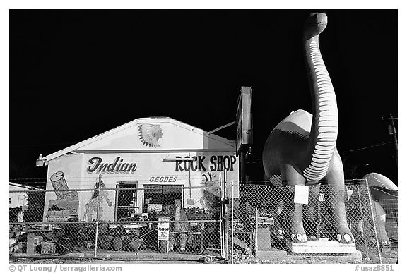 Dinosor and rock shop on route 66, Holbrook. Arizona, USA