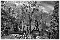 Winsor Castle. Pipe Spring National Monument, Arizona, USA (black and white)